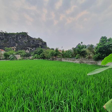 Trang An Garden Bungalow Ninh Binh Eksteriør bilde