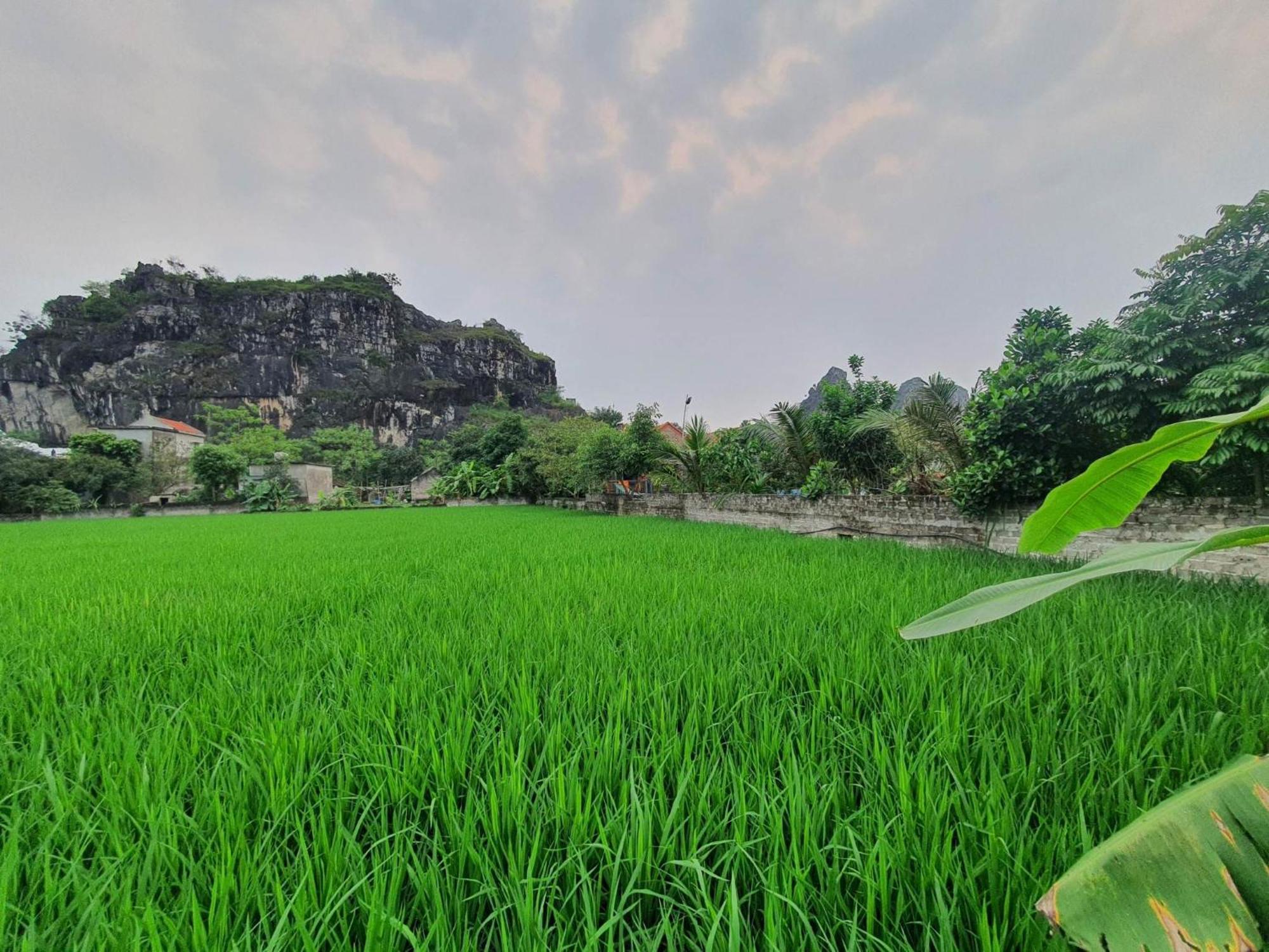 Trang An Garden Bungalow Ninh Binh Eksteriør bilde